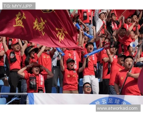 欧洲足球明星闪耀宁波激情赛场引发球迷热潮 欧洲足球明星闪耀宁波激情赛场引发球迷热潮