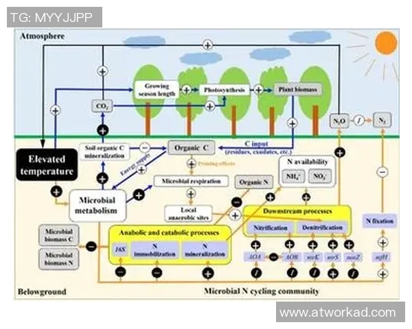 足球明星的语言多样性探讨及其对全球文化的影响
