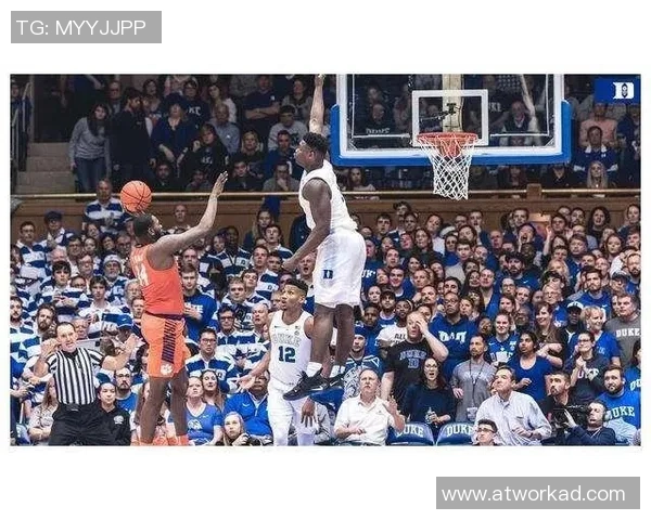 杭州篮球队灵活性排名创新高引发热议展现球队实力与潜力